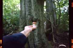 2022-10-09-0005-edit